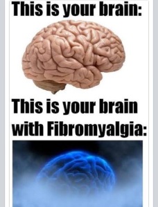 brain on fibro